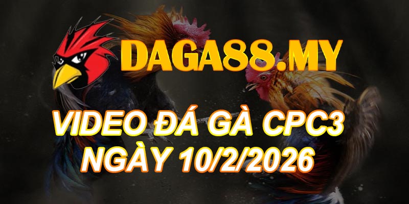 VIDEO GÀ CPC3 NGÀY 10/2/2026