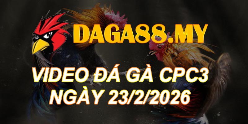 VIDEO GÀ CPC3 NGÀY 25/2/2026