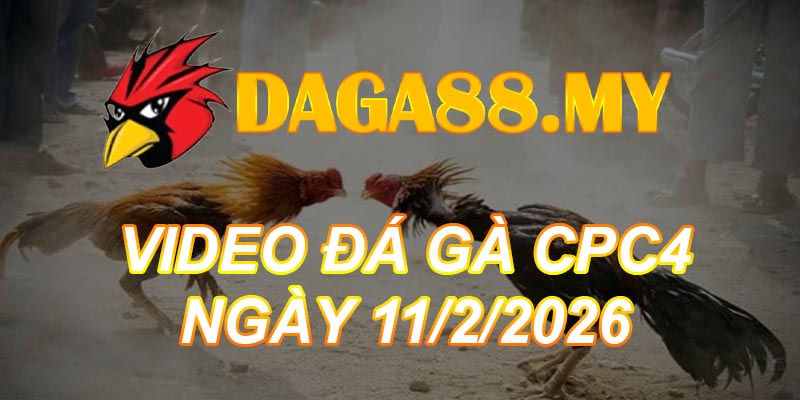 VIDEO GÀ CPC4 NGÀY 11/2/2026