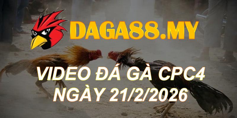 VIDEO GÀ CPC4 NGÀY 21/2/2026