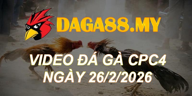 VIDEO GÀ CPC4 NGÀY 26/2/2026