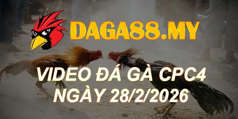 VIDEO GÀ CPC4 NGÀY 28/2/2026