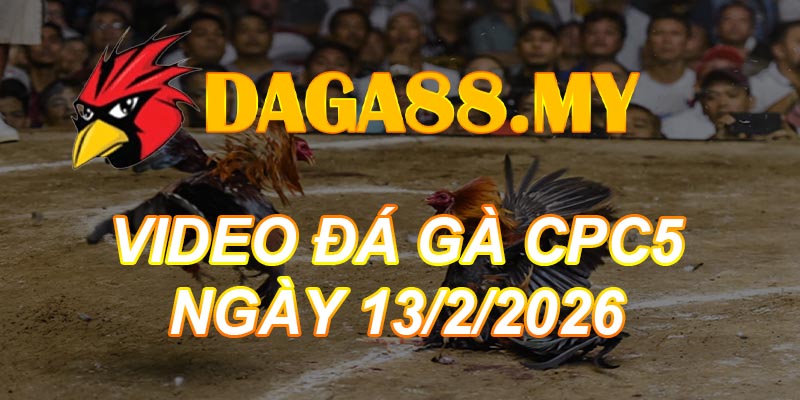 VIDEO GÀ CPC5 NGÀY 13/2/2026