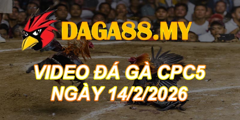 VIDEO GÀ CPC5 NGÀY 14/2/2026