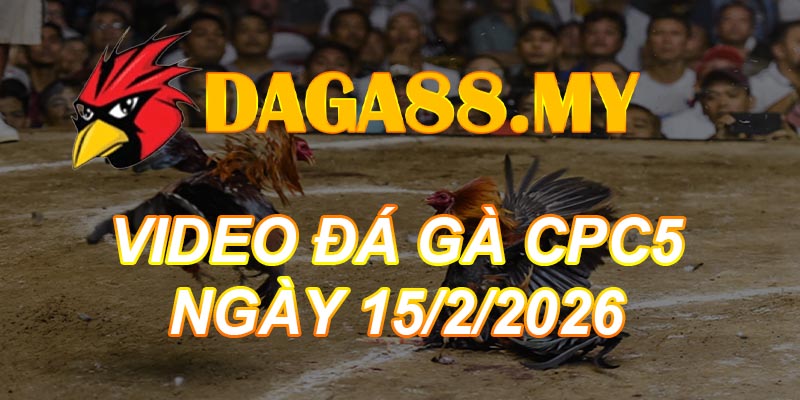 VIDEO GÀ CPC5 NGÀY 15/2/2026