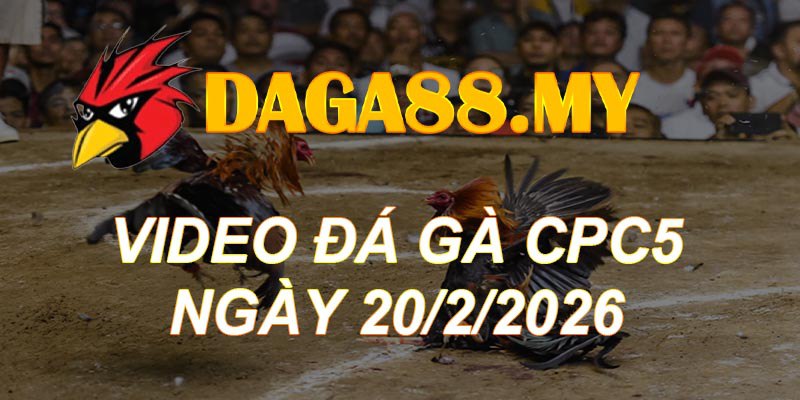 VIDEO GÀ CPC5 NGÀY 20/2/2026
