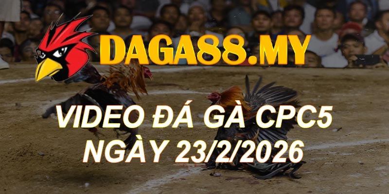 VIDEO GÀ CPC5 NGÀY 23/2/2026