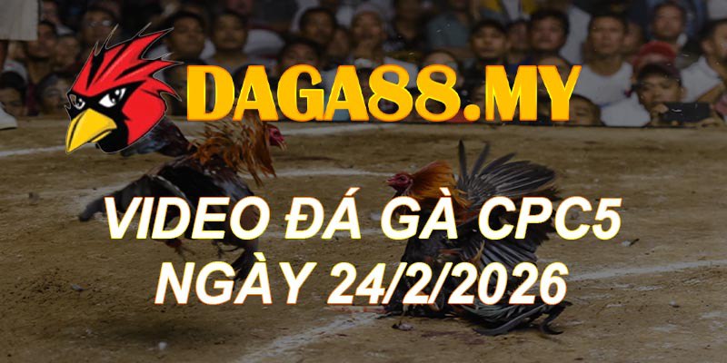 VIDEO GÀ CPC5 NGÀY 24/2/2026