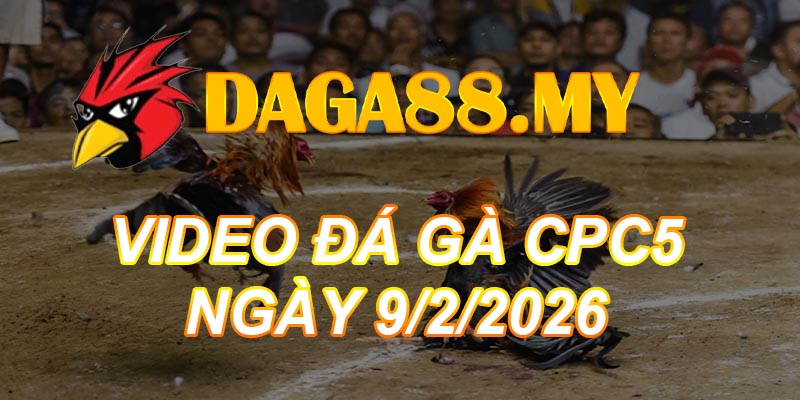VIDEO GÀ CPC5 NGÀY 9/2/2026