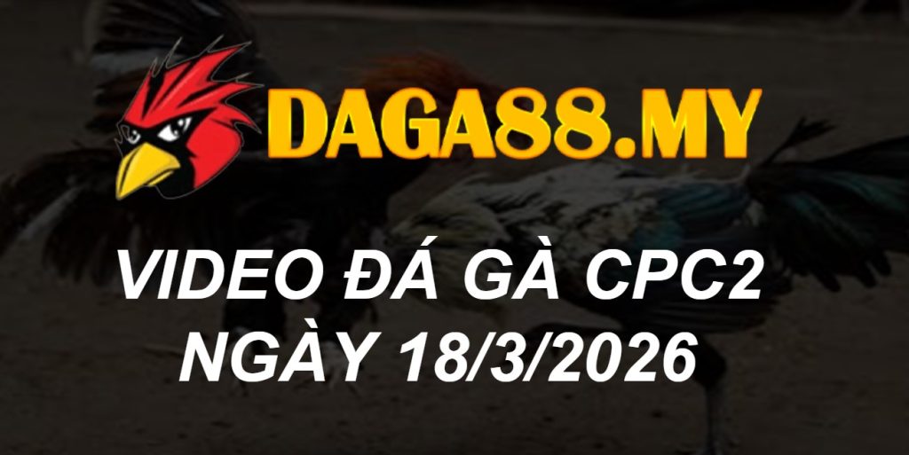 VIDEO GÀ CPC2 NGÀY 18/3/2026