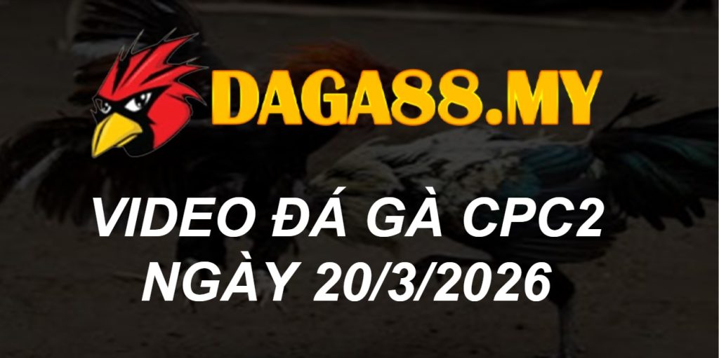 VIDEO GÀ CPC2 NGÀY 20/3/2026