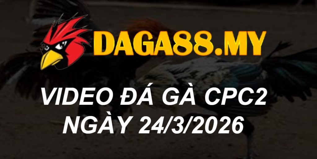 VIDEO GÀ CPC2 NGÀY 24/3/2026