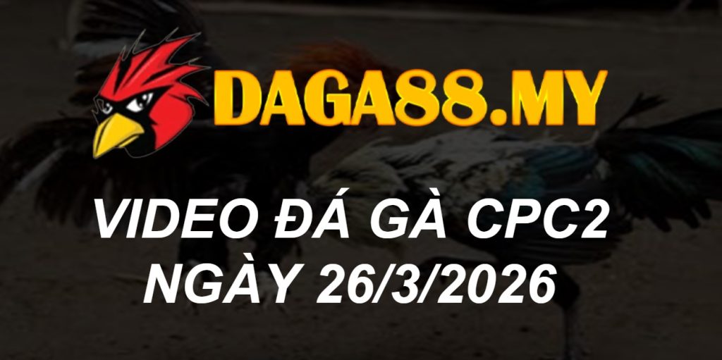 VIDEO GÀ CPC2 NGÀY 26/3/2026