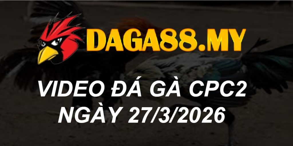VIDEO GÀ CPC2 NGÀY 27/3/2026