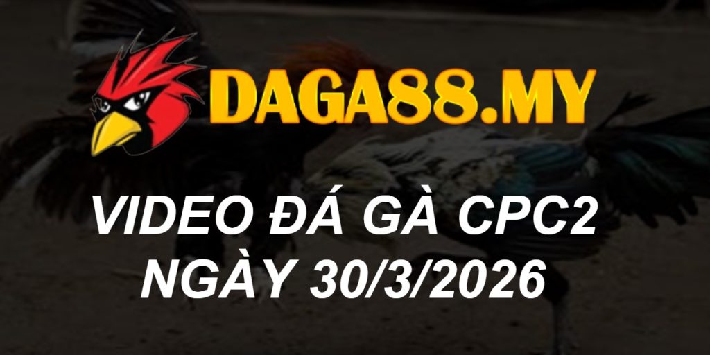 VIDEO GÀ CPC2 NGÀY 30/3/2026