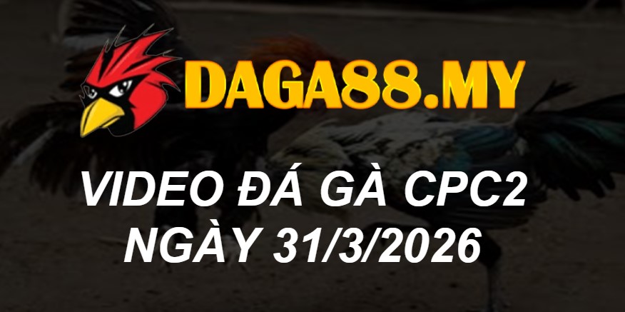 VIDEO GÀ CPC2 NGÀY 31/3/2026