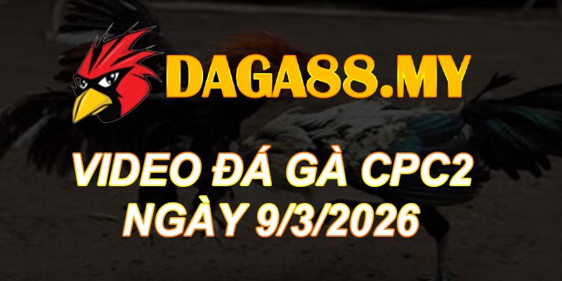 VIDEO GÀ CPC2 NGÀY 9/3/2026