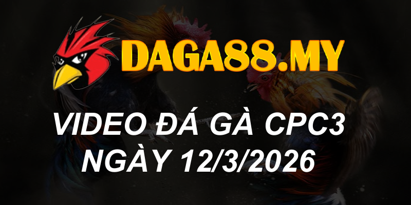 VIDEO GÀ CPC3 NGÀY 12/3/2026
