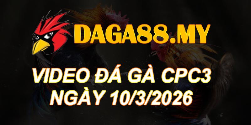 VIDEO GÀ CPC3 NGÀY 10/3/2026