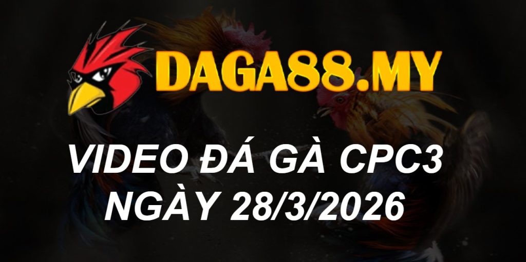 VIDEO GÀ CPC3 NGÀY 28/3/2026