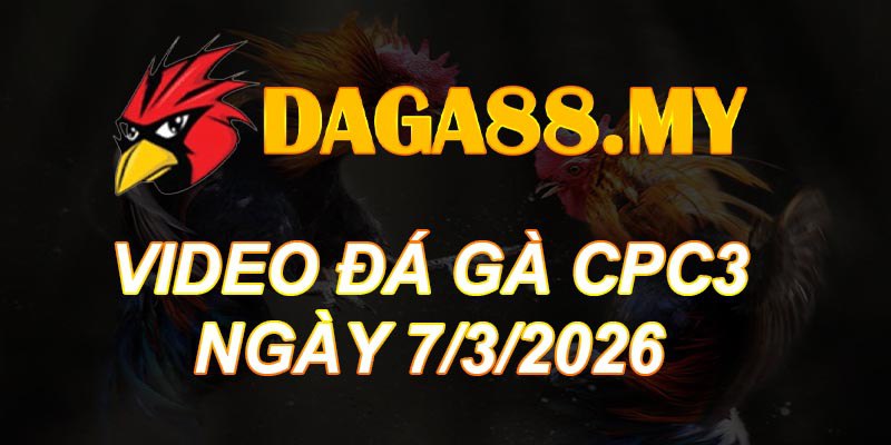 VIDEO GÀ CPC3 NGÀY 7/3/2026