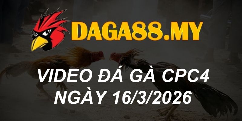 VIDEO GÀ CPC4 NGÀY 16/3/2026