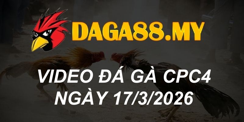 VIDEO GÀ CPC4 NGÀY 17/3/2026