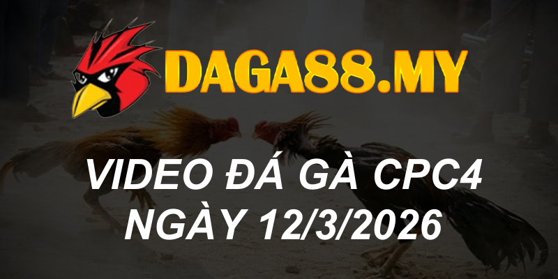 VIDEO GÀ CPC4 NGÀY 12/3/2026