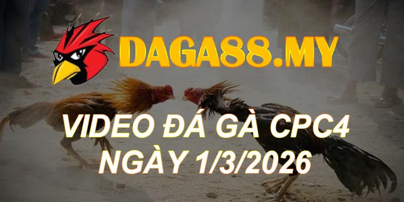 VIDEO GÀ CPC4 NGÀY 1/3/2026