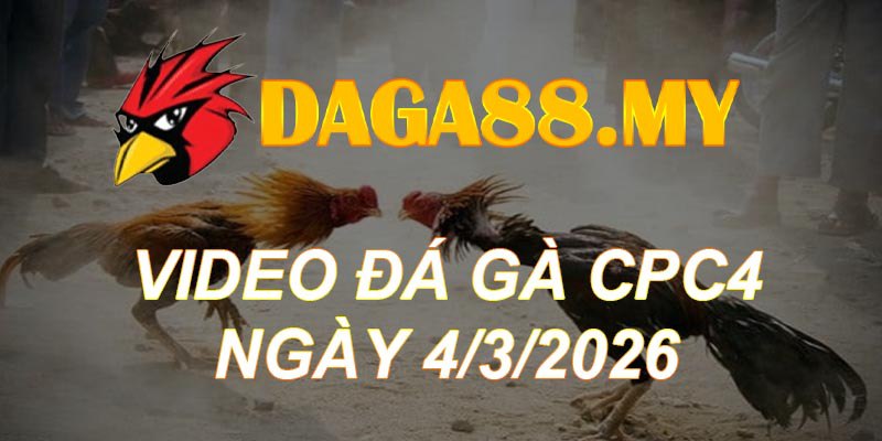VIDEO GÀ CPC4 NGÀY 4/3/2026