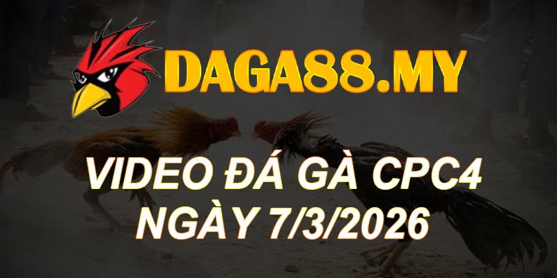 VIDEO GÀ CPC4 NGÀY 7/3/2026