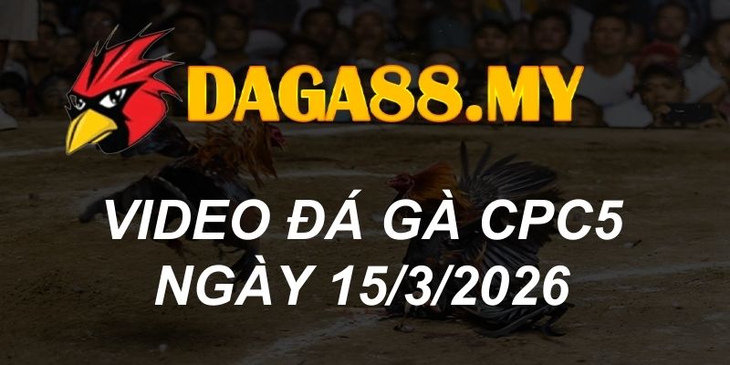 VIDEO GÀ CPC5 NGÀY 15/3/2026