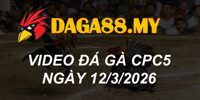 VIDEO GÀ CPC5 NGÀY 12/3/2026