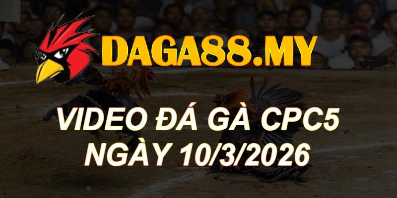 VIDEO GÀ CPC5 NGÀY 10/3/2026