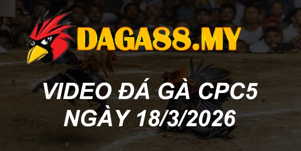 VIDEO GÀ CPC5 NGÀY 18/3/2026