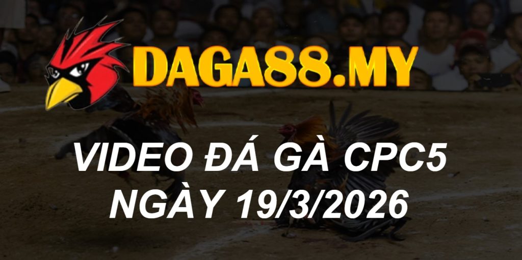 VIDEO GÀ CPC5 NGÀY 19/3/2026