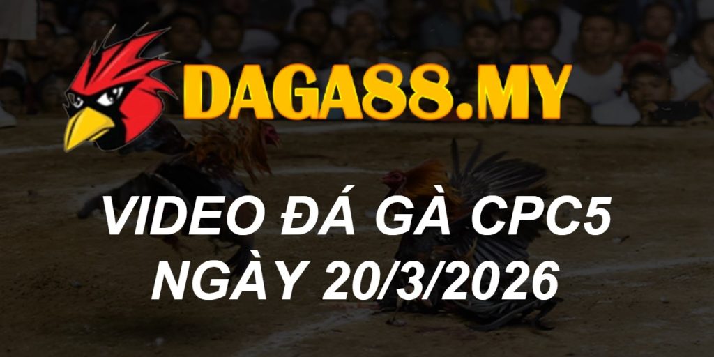 VIDEO GÀ CPC5 NGÀY 20/3/2026