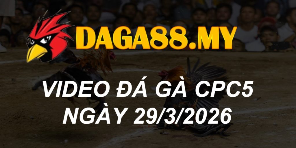 VIDEO GÀ CPC5 NGÀY 30/3/2026