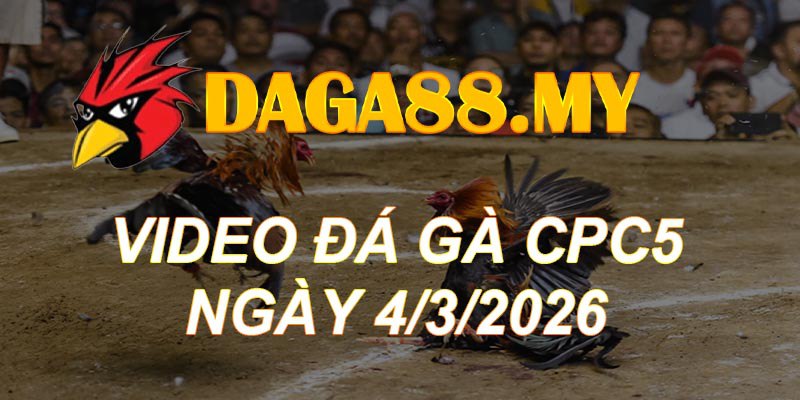 VIDEO GÀ CPC5 NGÀY 4/3/2026