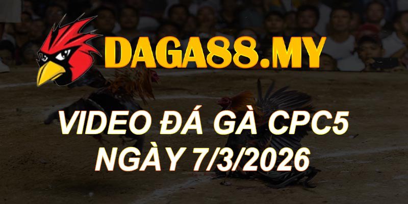 VIDEO GÀ CPC5 NGÀY 7/3/2026