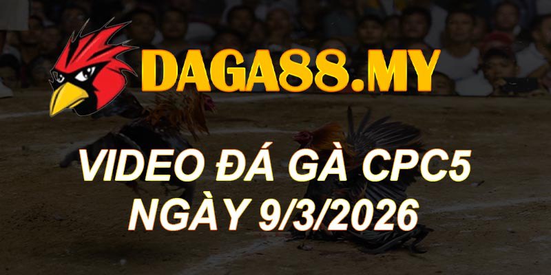 VIDEO GÀ CPC5 NGÀY 9/3/2026