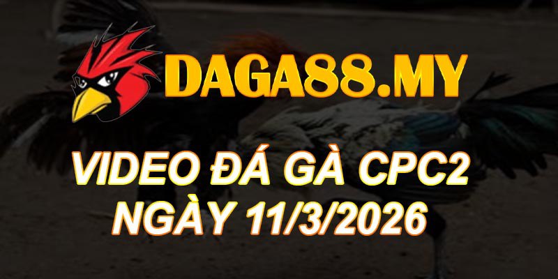 VIDEO GÀ CPC2 NGÀY 11/3/2026