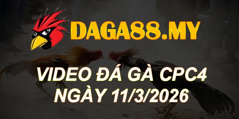 VIDEO GÀ CPC4 NGÀY 11/3/2026
