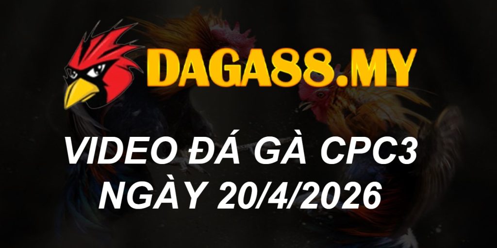 VIDEO GÀ CPC3 NGÀY 20/4/2026