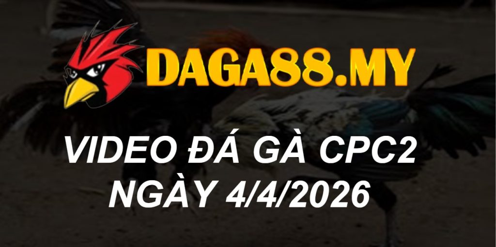 VIDEO GÀ CPC2 NGÀY 4/4/2026
