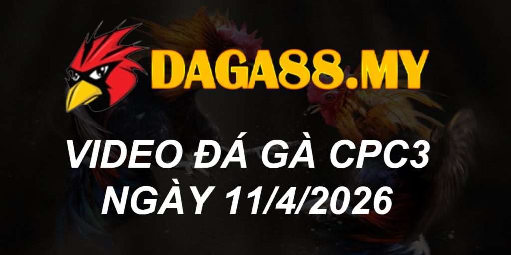 VIDEO GÀ CPC3 NGÀY 11/4/2026