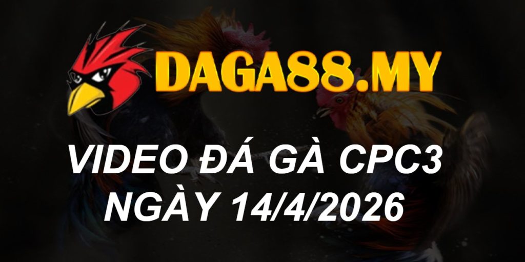 VIDEO GÀ CPC3 NGÀY 14/4/2026