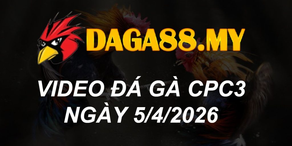 VIDEO GÀ CPC3 NGÀY 5/4/2026