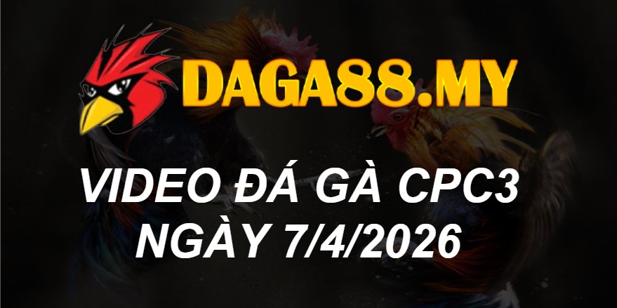 VIDEO GÀ CPC3 NGÀY 7/4/2026
