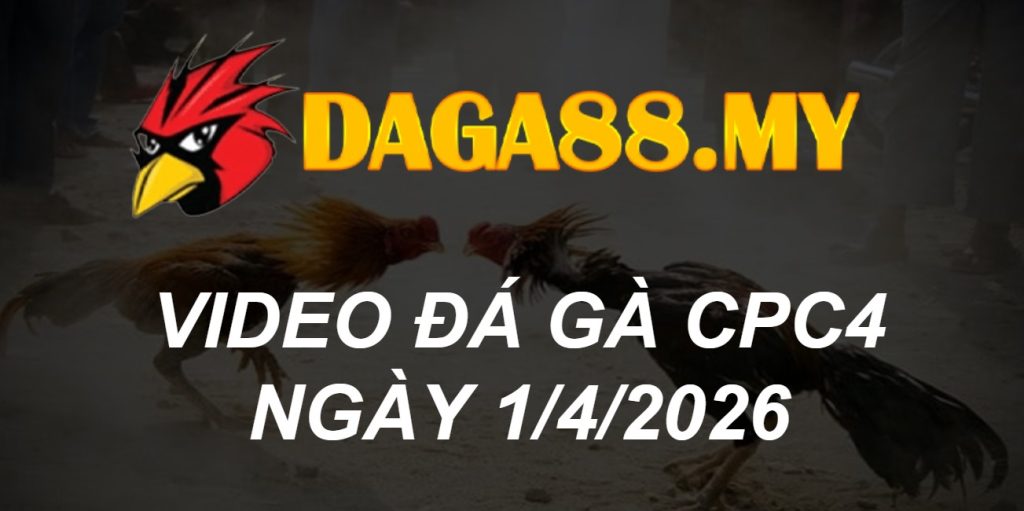 VIDEO GÀ CPC4 NGÀY 1/4/2026
